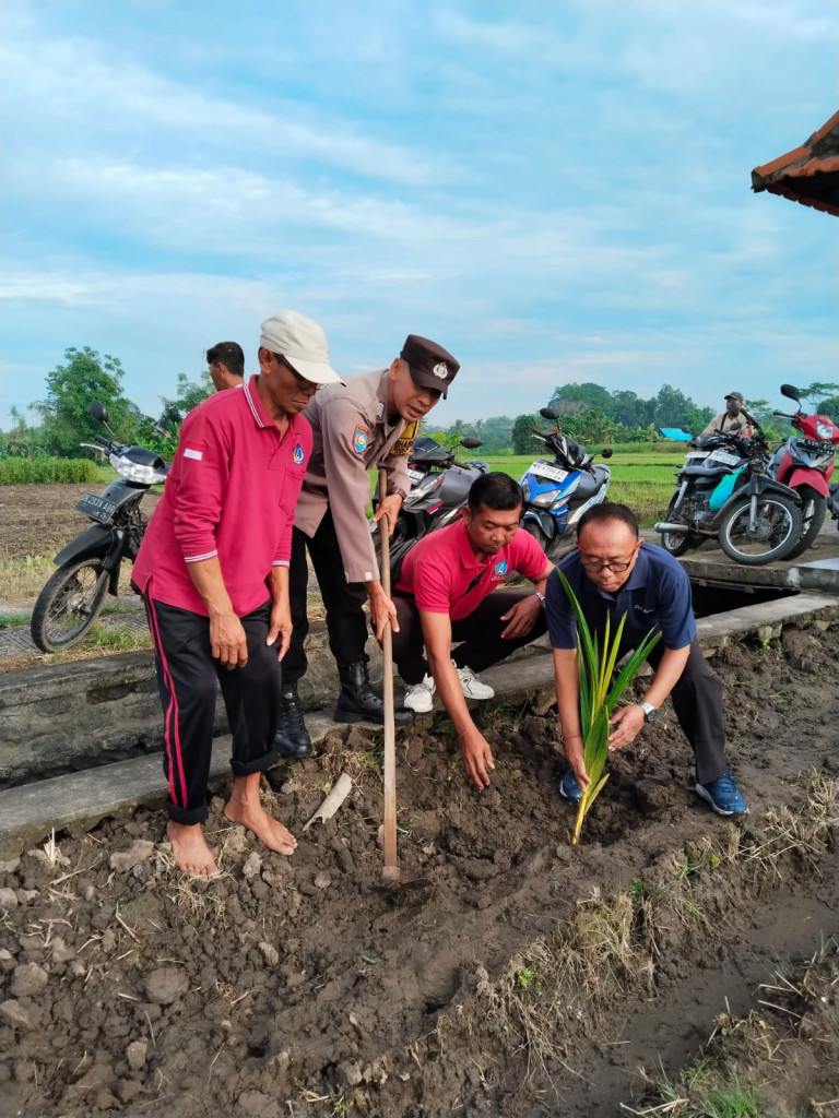 PERINGATI BULAN BAKTI GOTONG-ROYONG, LPM DESA ANGANTAKA AJAK KRAMA SUBAK TANAM POHON KELAPA GENJAH